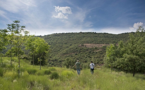Nuestro equipo inspeccionó los terrenos de la propiedad en junio de 2016